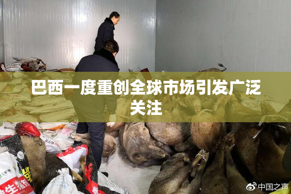 巴西一度重创全球市场引发广泛关注