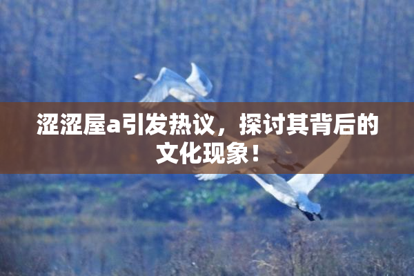 涩涩屋a引发热议，探讨其背后的文化现象！
