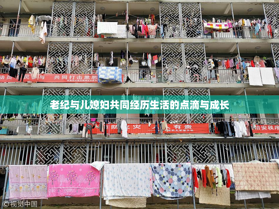 老纪与儿媳妇共同经历生活的点滴与成长