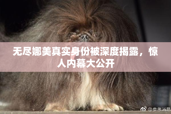 无尽娜美真实身份被深度揭露，惊人内幕大公开