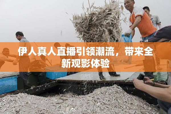 伊人真人直播引领潮流，带来全新观影体验