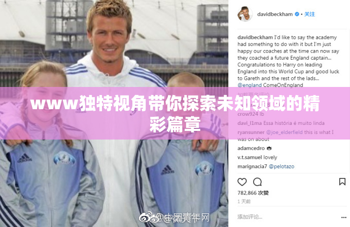 www独特视角带你探索未知领域的精彩篇章