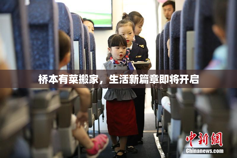 桥本有菜搬家，生活新篇章即将开启