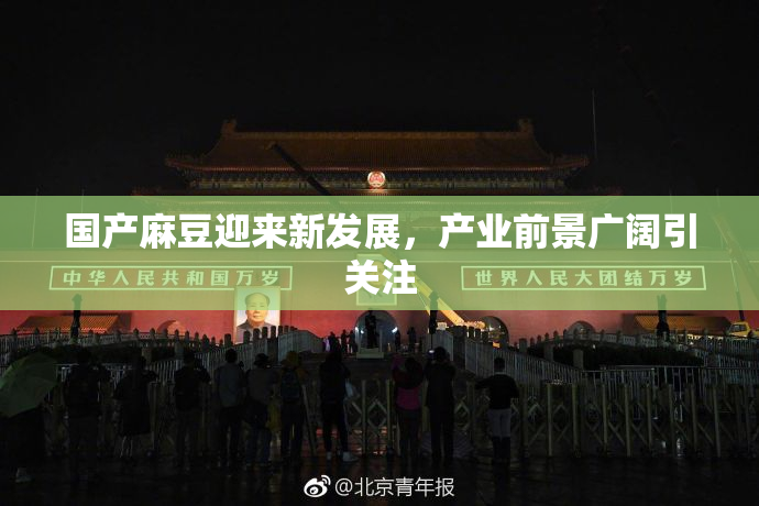 国产麻豆迎来新发展，产业前景广阔引关注