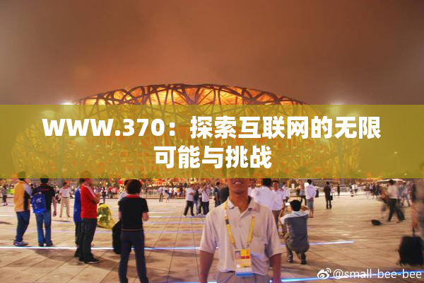 WWW.370：探索互联网的无限可能与挑战