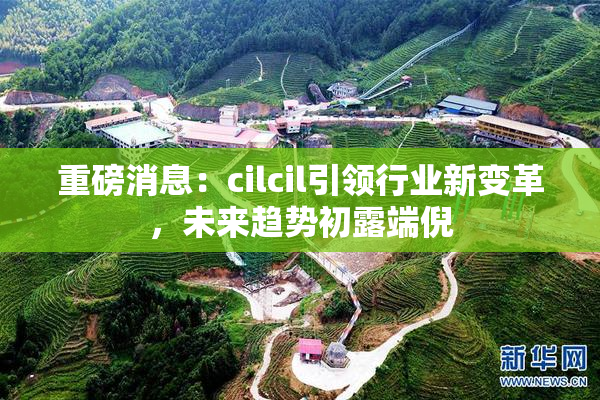 重磅消息：cilcil引领行业新变革，未来趋势初露端倪