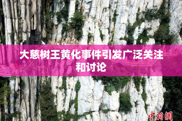 大慈树王黄化事件引发广泛关注和讨论