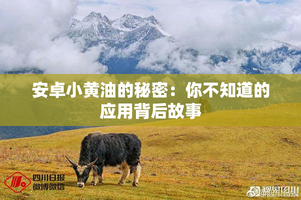 安卓小黄油的秘密：你不知道的应用背后故事