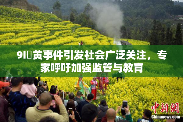 9I婬黄事件引发社会广泛关注，专家呼吁加强监管与教育