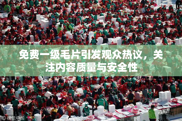免费一级毛片引发观众热议，关注内容质量与安全性