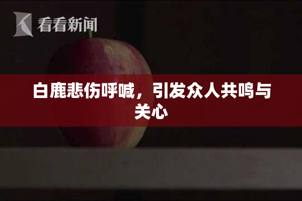 白鹿悲伤呼喊，引发众人共鸣与关心