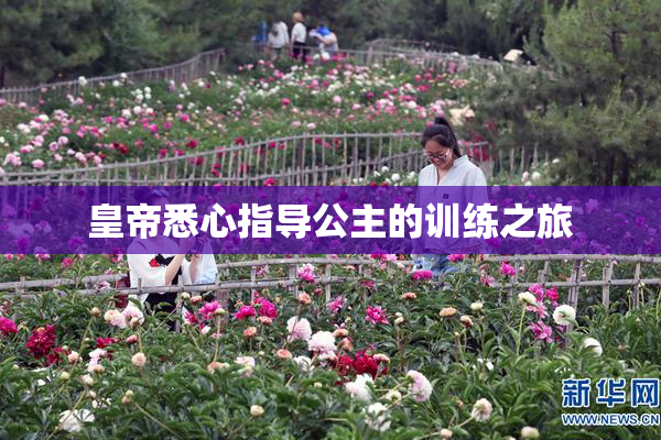 皇帝悉心指导公主的训练之旅