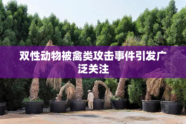 双性动物被禽类攻击事件引发广泛关注