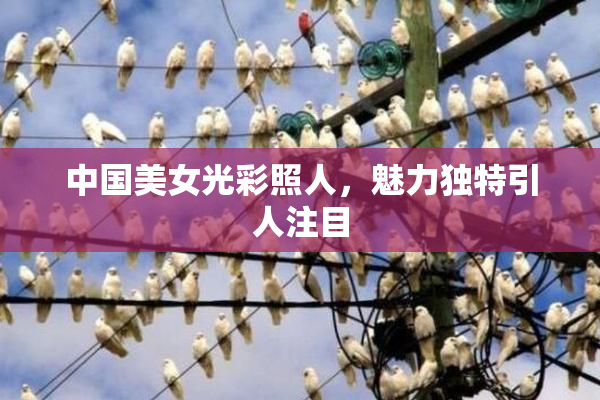中国美女光彩照人，魅力独特引人注目