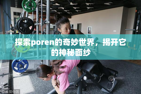 探索poren的奇妙世界，揭开它的神秘面纱
