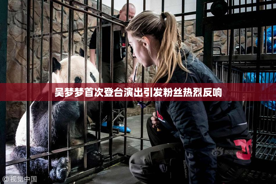 吴梦梦首次登台演出引发粉丝热烈反响