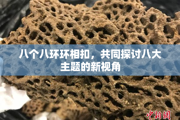 八个八环环相扣，共同探讨八大主题的新视角