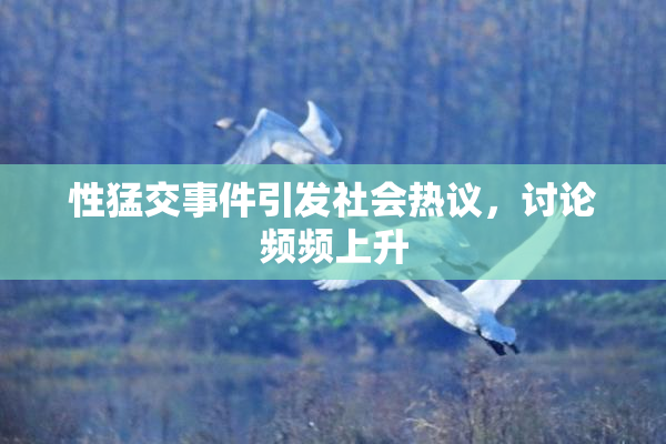 性猛交事件引发社会热议，讨论频频上升