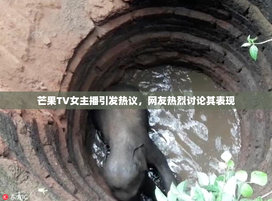 芒果TV女主播引发热议，网友热烈讨论其表现