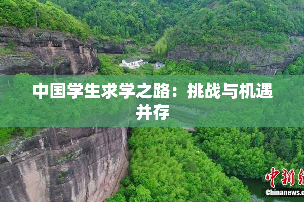 中国学生求学之路：挑战与机遇并存