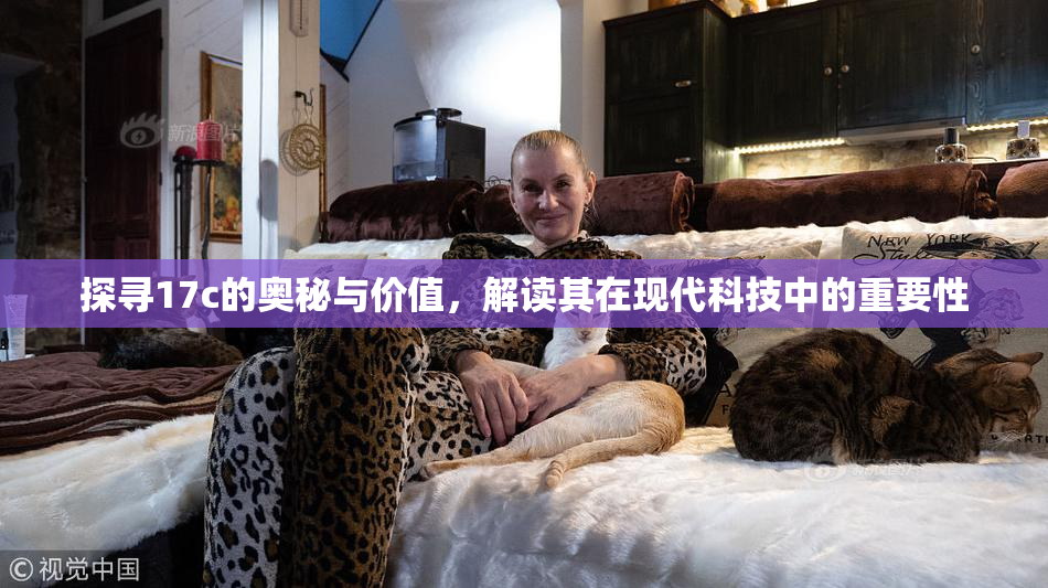 探寻17c的奥秘与价值，解读其在现代科技中的重要性