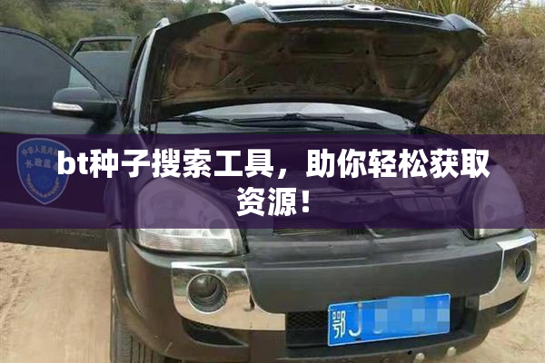 bt种子搜索工具，助你轻松获取资源！
