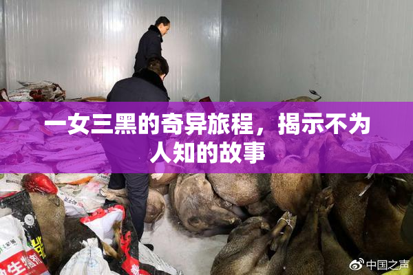一女三黑的奇异旅程，揭示不为人知的故事