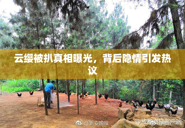 云缨被扒真相曝光，背后隐情引发热议