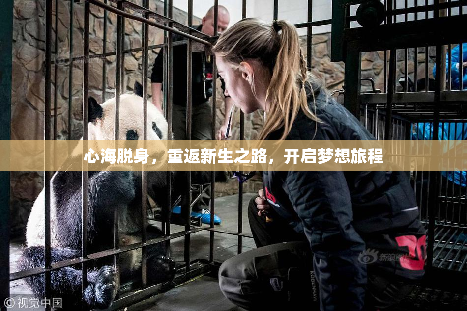 心海脱身，重返新生之路，开启梦想旅程