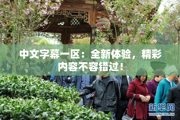 中文字幕一区：全新体验，精彩内容不容错过！