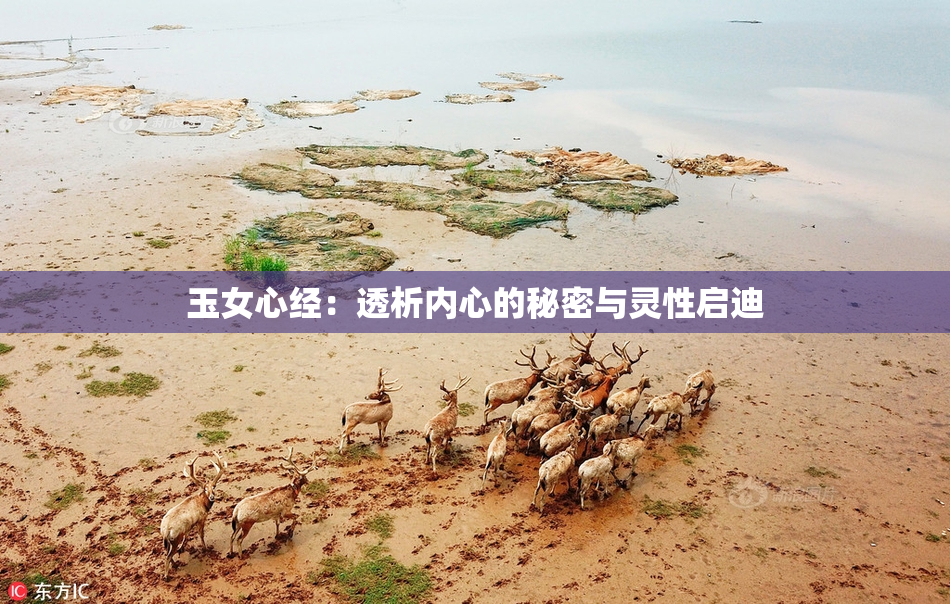 玉女心经：透析内心的秘密与灵性启迪