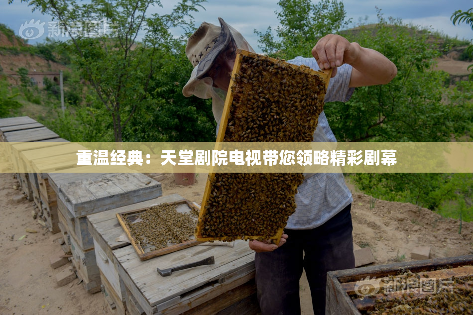 重温经典：天堂剧院电视带您领略精彩剧幕