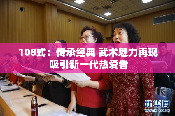 108式：传承经典 武术魅力再现 吸引新一代热爱者