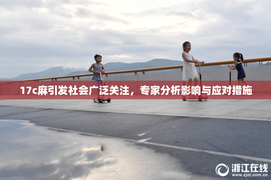 17c麻引发社会广泛关注，专家分析影响与应对措施
