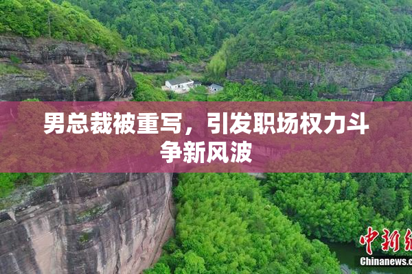 男总裁被重写，引发职场权力斗争新风波