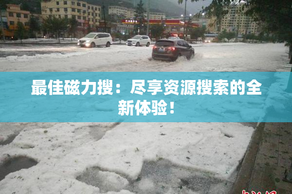 最佳磁力搜：尽享资源搜索的全新体验！