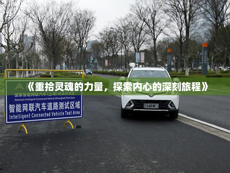 《重拾灵魂的力量，探索内心的深刻旅程》