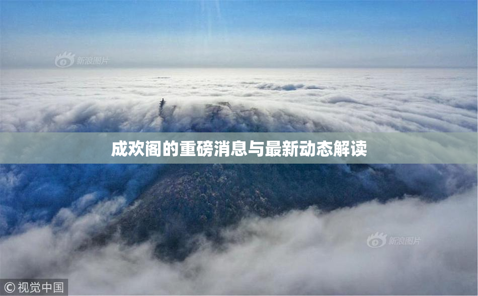 成欢阁的重磅消息与最新动态解读
