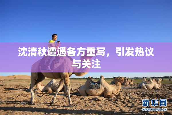 沈清秋遭遇各方重写，引发热议与关注
