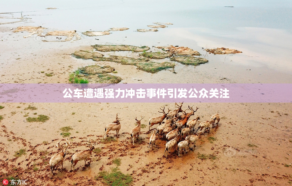 公车遭遇强力冲击事件引发公众关注