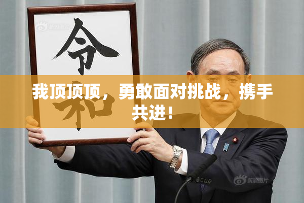 我顶顶顶，勇敢面对挑战，携手共进！
