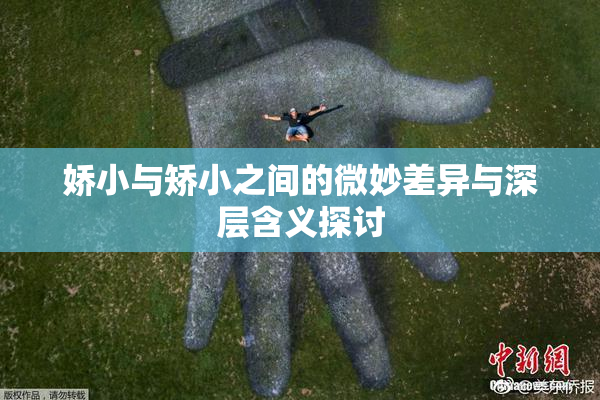 娇小与矫小之间的微妙差异与深层含义探讨