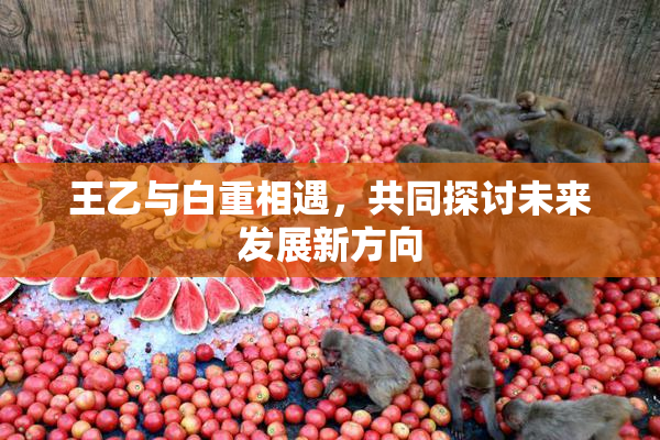 王乙与白重相遇，共同探讨未来发展新方向