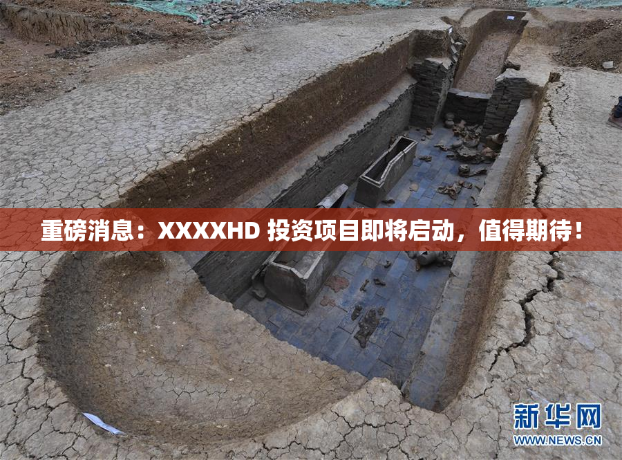 重磅消息：XXXXHD 投资项目即将启动，值得期待！