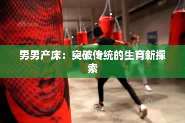 男男产床：突破传统的生育新探索