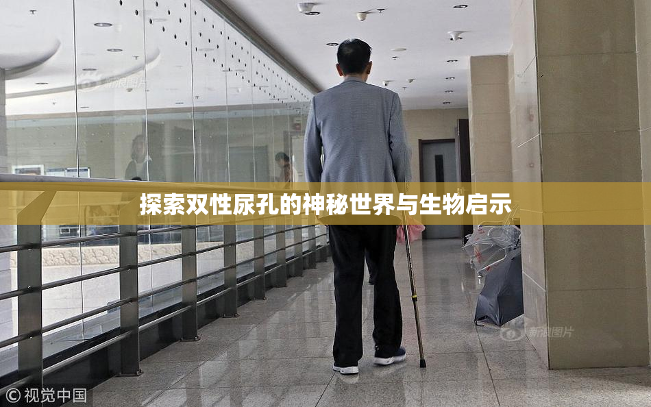 探索双性尿孔的神秘世界与生物启示
