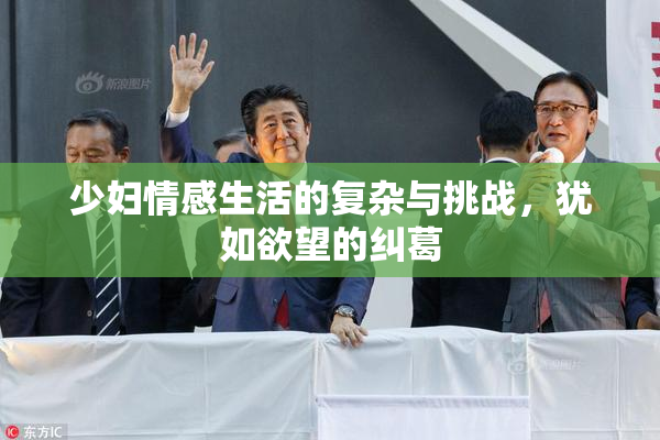 少妇情感生活的复杂与挑战，犹如欲望的纠葛