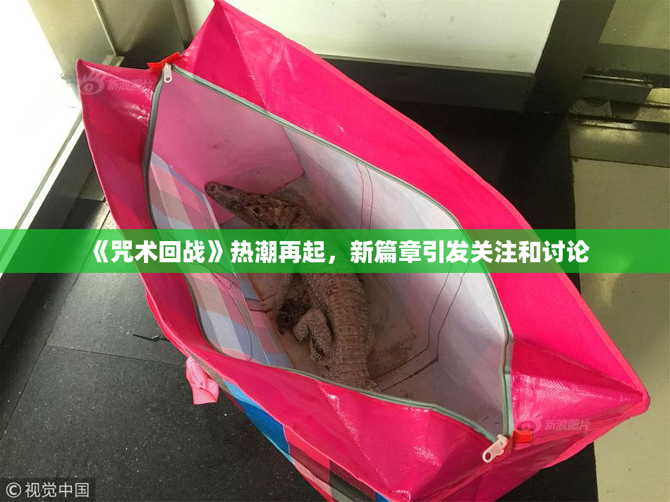 《咒术回战》热潮再起，新篇章引发关注和讨论