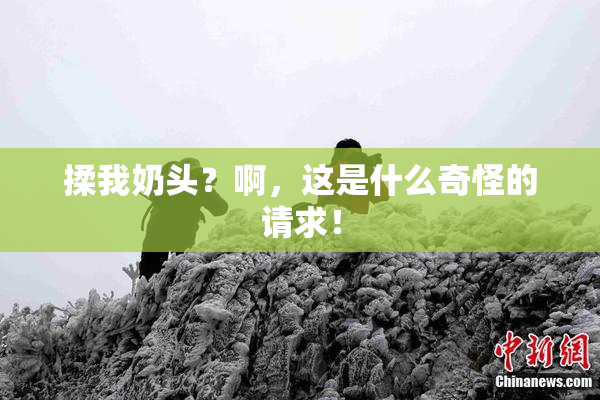 揉我奶头？啊，这是什么奇怪的请求！