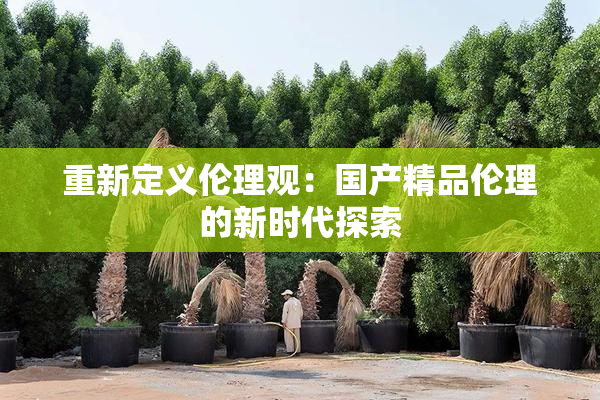 重新定义伦理观：国产精品伦理的新时代探索